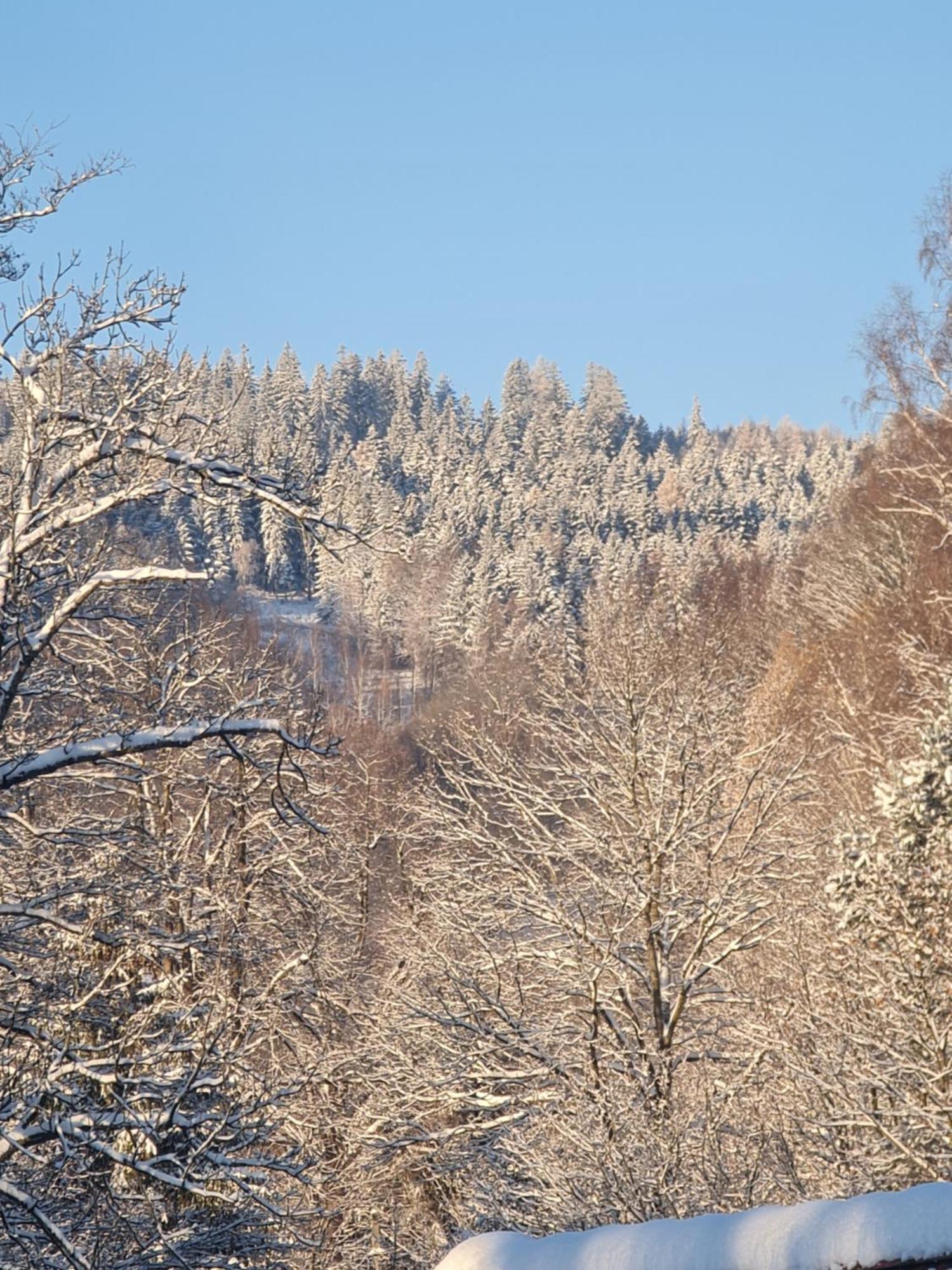 Sieraton Pokoje I Apartament Stronie Śląskie Buitenkant foto