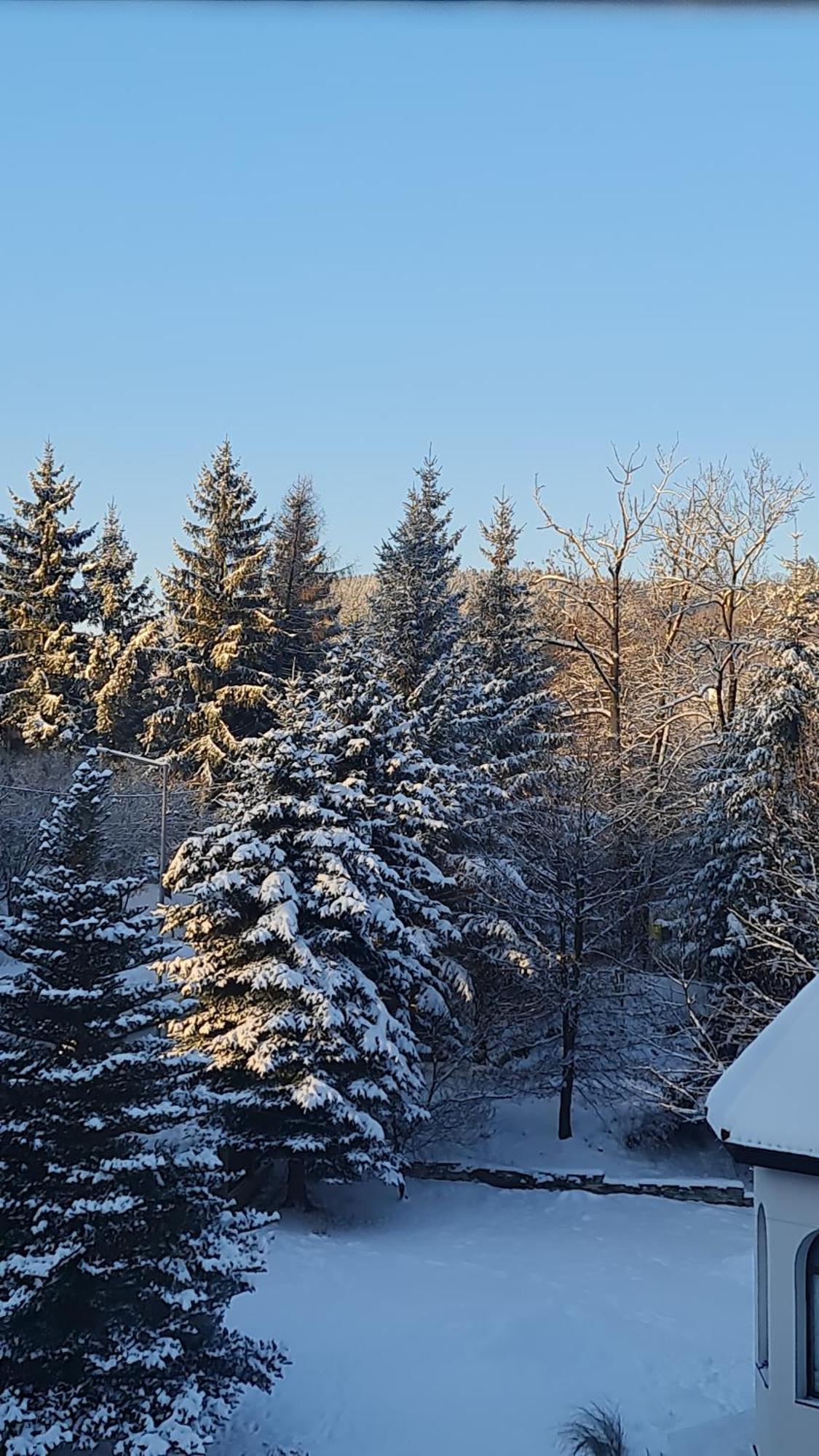 Sieraton Pokoje I Apartament Stronie Śląskie Buitenkant foto